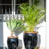 Ernest Black - Macetas, Uruguay | Balcony, vista 3 de 6