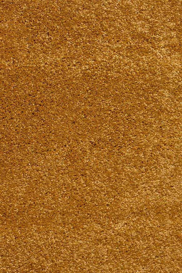 ALFOMBRA SOFTNESS SOF/2144/T905/ 200X290 AUTUMN GOLD en Mostaza - Alfombras, Uruguay | Vinibel, vista 2