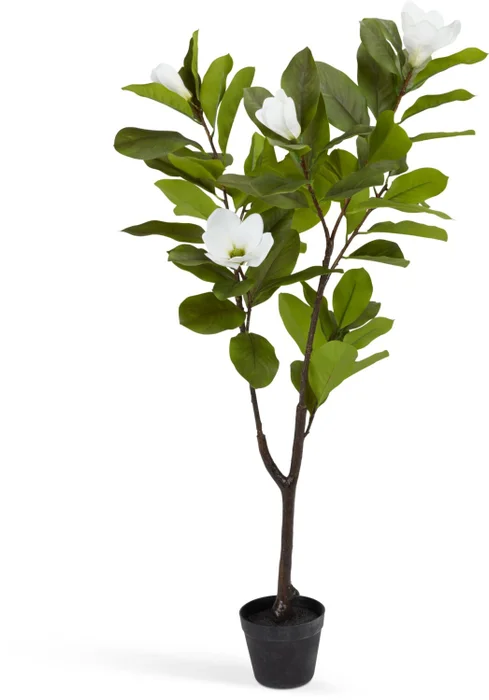 Planta artificial SPINDEL A120cm magnolia en Verde - Muebles para el exterior, Uruguay | JYSK, vista 2