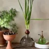 FLORERO - Jarrones, Uruguay | Vivai, vista 11 de 12