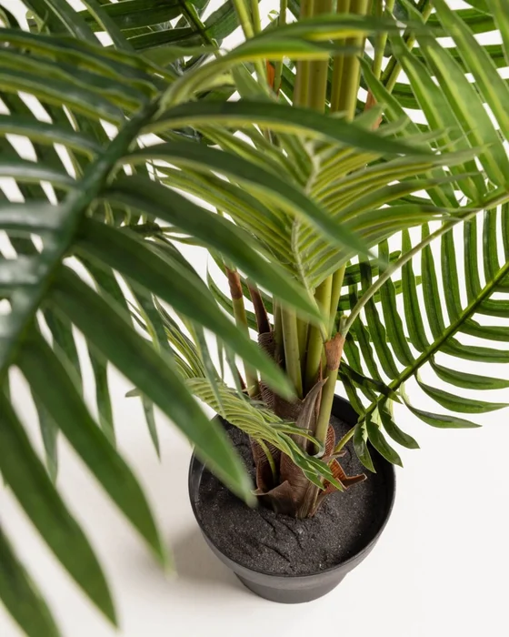Planta artificial Palmera de helecho con maceta negro 150 cm en Verde - Macetas, Uruguay | Kavehome, vista 2
