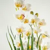 Planta Orchid 90cm - Color Unico en Multicolor - Muebles para el exterior, Uruguay | Indian, vista 2 de 4