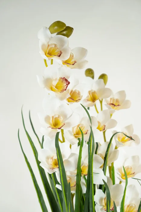 Planta Orchid 90cm - Color Unico en Multicolor - Muebles para el exterior, Uruguay | Indian, vista 2