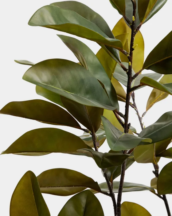 Árbol artificial Magnolia con maceta blanca 160 cm en Multicolor - Macetas, Uruguay | Kavehome, vista 2