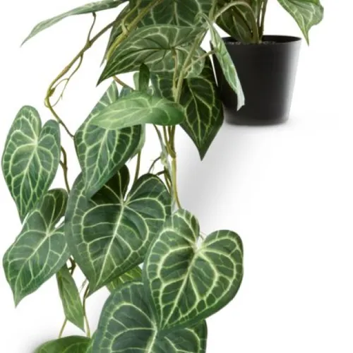 Planta artificial KNOPPSVANE Al30cm verde en Verde - Muebles para el exterior, Uruguay | JYSK