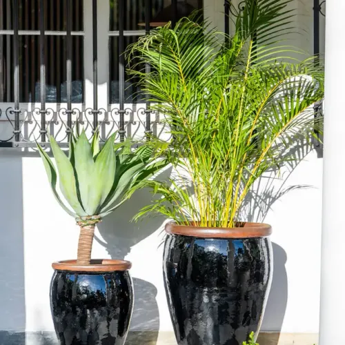 Ernest Black - Macetas, Uruguay | Balcony