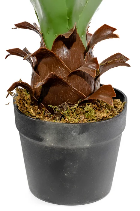 Planta Aloe 60cm - Color Unico en Multicolor - Muebles para el exterior, Uruguay | Indian, vista 2