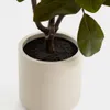 Árbol artificial Magnolia con maceta blanca 160 cm en Multicolor - Macetas, Uruguay | Kavehome, vista 3 de 5