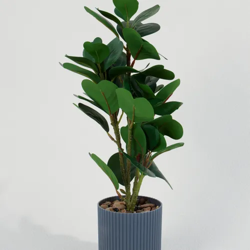 Planta Ficus 40cm - Color Unico en Multicolor - Muebles para el exterior, Uruguay | Indian