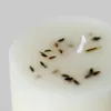 Vela Aromática Café - Estampado 2 en Multicolor - Velas y Portavelas, Uruguay | Indian, vista 6 de 6