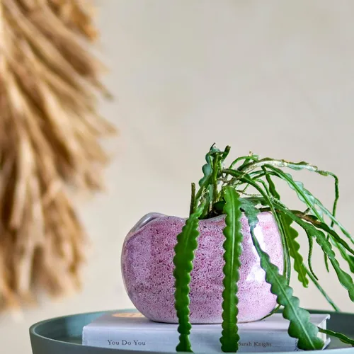 Florero Pennie rosa - Decoración, Uruguay | Martinika Deco