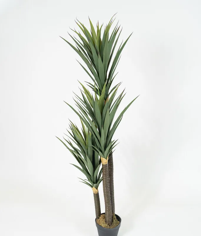 Planta Yucca 150cm - Color Unico en Multicolor - Muebles para el exterior, Uruguay | Indian