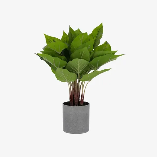 Planta artificial Anthurium con maceta de cemento 50 cm en Gris - Macetas, Uruguay | Kavehome