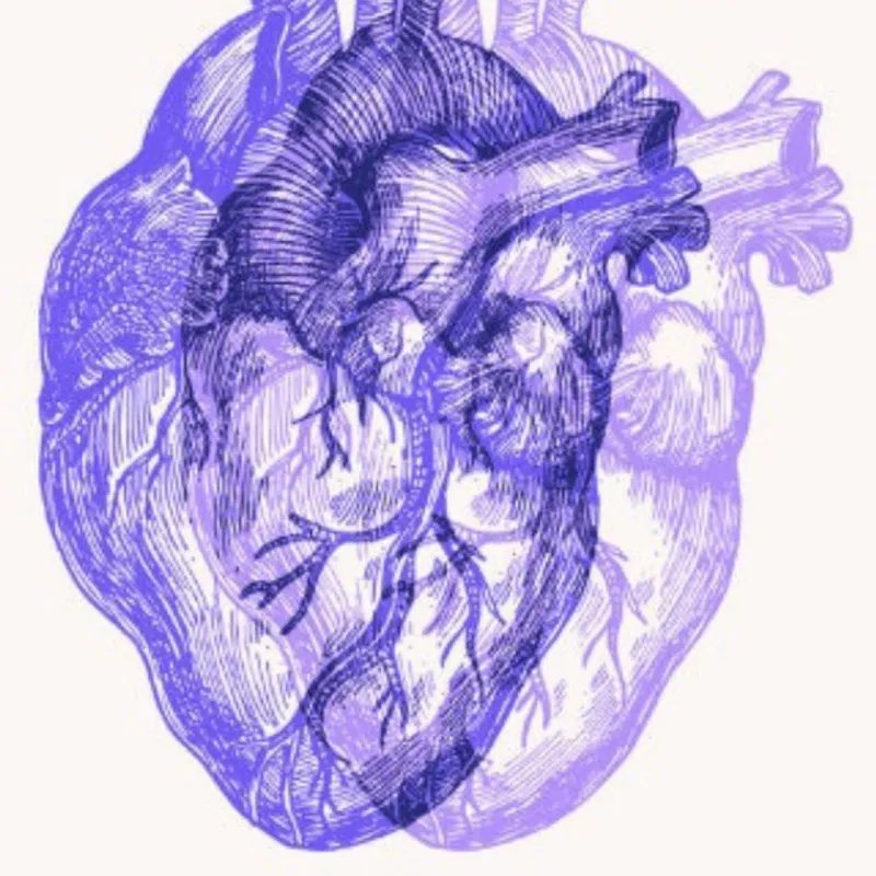 Anatomical en Violeta - Láminas, Uruguay | Mara Estudio