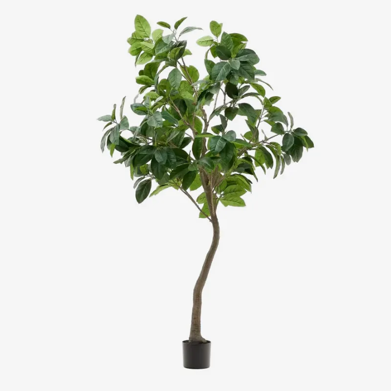 Árbol artificial Ficus con maceta negra 210 cm en Madera natural - Macetas, Uruguay | Kavehome
