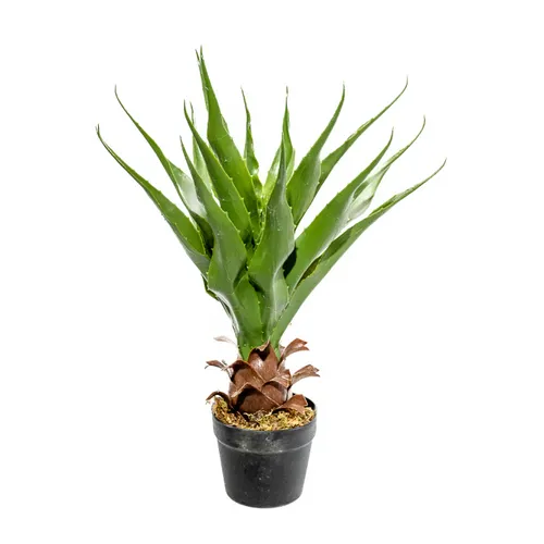 Planta Aloe 60cm - Color Unico en Multicolor - Muebles para el exterior, Uruguay | Indian
