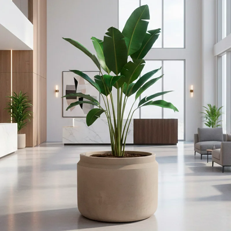 Maceta Cairo Grande en cemento - Macetas, Uruguay | Alta Gracia Deco, vista 6