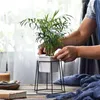 MACETA CERAMICA HEXA C/BASE D17x20CM BLANCO/NEGRO en Multicolor - Macetas, Uruguay | Koz, vista 2 de 4