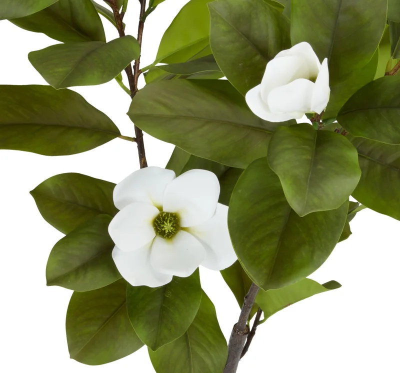 Planta artificial SPINDEL A120cm magnolia en Verde - Muebles para el exterior, Uruguay | JYSK, vista 3