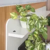 Modular para Tv Munique Nature/Blanco - Línea Haus en Blanco - Muebles para TV, Uruguay | Ecowood, vista 4 de 5