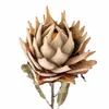 Tallo Protea natural - Decoración, Uruguay | Martinika Deco, vista 2 de 10