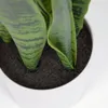 Planta artificial Sansevieria con maceta blanco 55 cm en Blanco, Uruguay | Kavehome, vista 5 de 6
