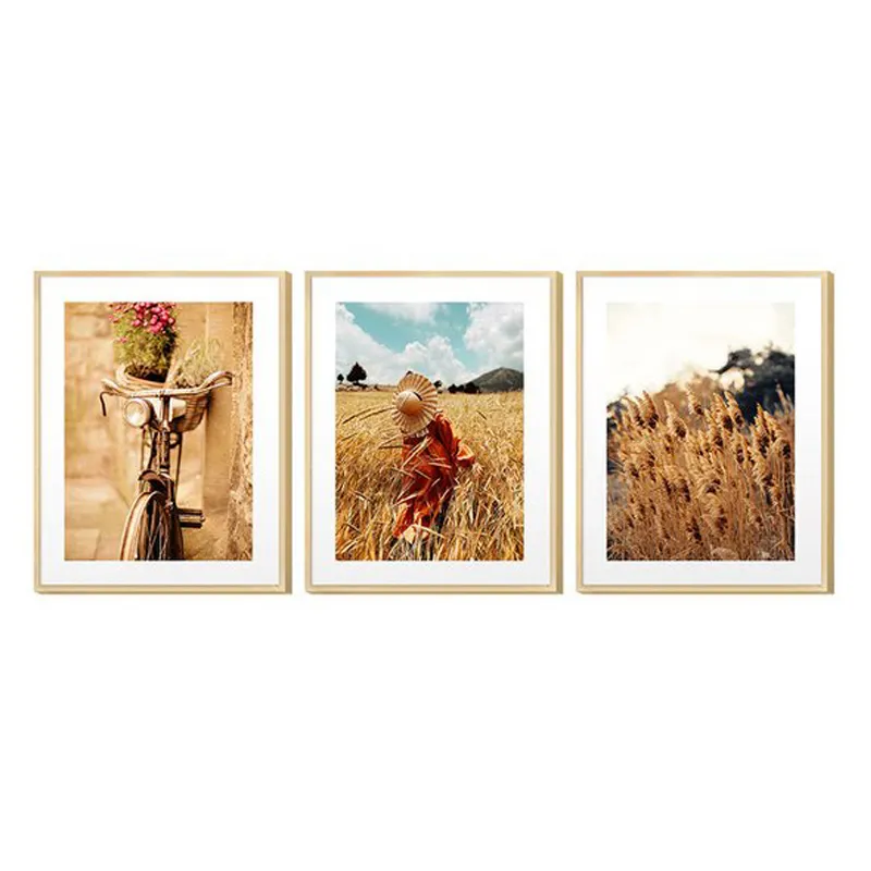 Set de 3 cuadros decorativos Naturaleza 30x40cm N°1 - Decoración de pared, Uruguay | Alta Gracia Deco