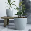 Macetero Premium N22 Gris 19.6cm Alto x 22 Diam Boca, 5,3 lts en Gris - Macetas, Uruguay | Champagne Home, vista 2 de 3