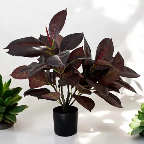 Planta artificial gomero en Negro - Macetas, Uruguay | Alta Gracia Deco