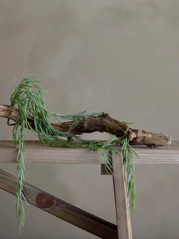 Planta de Tilandsia en Verde - Decoración, Uruguay | Martinika Deco, vista 3