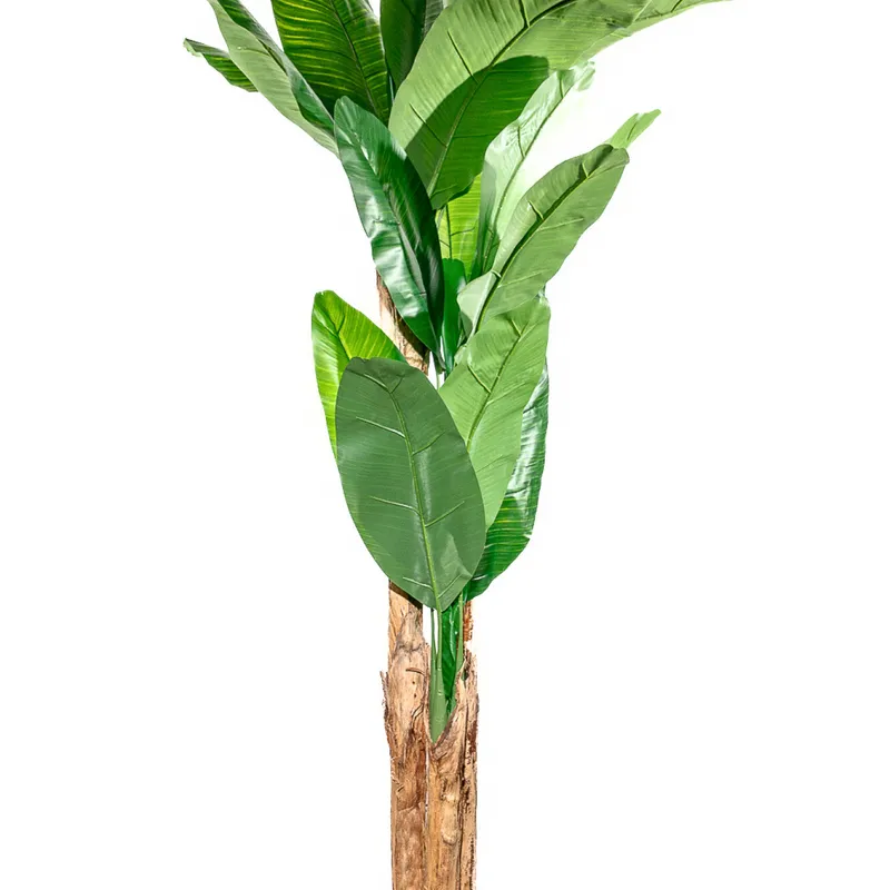 Planta Arum 100cm - Color Unico en Multicolor - Muebles para el exterior, Uruguay | Indian