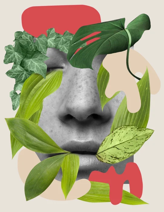 Verde - Láminas, Uruguay | Mara Estudio
