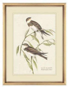 CUADRO BIRDS 1 - MARCO GOLD – 45 X 35 CMS en Dorado - Decoración de pared, Uruguay | La Iberica, vista 3