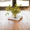 MESA COMEDOR DE OLMO ISABEL - 2.00 X 1.00 MTS - Mesas de comedor, Uruguay | La Iberica, vista 9 de 28