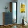 Comoda 4 Cajones 1 Puerta Con Espejo Cajonera Dormitorio Grafito - Cómodas, Uruguay | Soy Hogar, vista 3 de 4