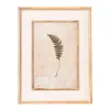 CUADRO SERIE HOJAS 1 - 50 X 65 CMS - Decoración de pared, Uruguay | La Iberica, vista 8 de 9