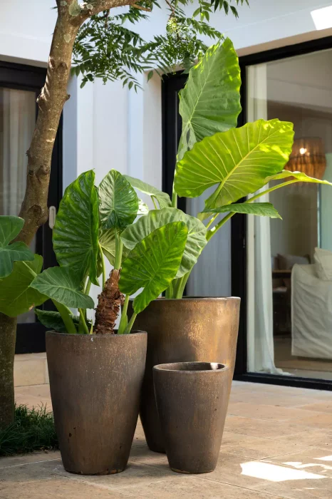 William Bronce en Cobre - Macetas, Uruguay | Balcony