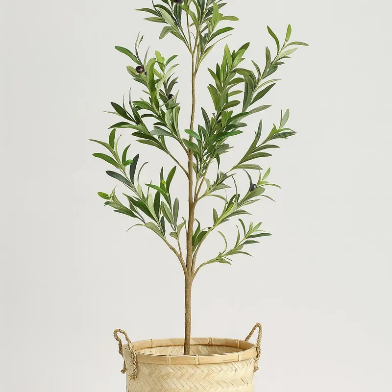 Olivo en Negro - Decoración, Uruguay | Indrana