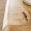 MESA DE ARRIMO IRREGULAR - NATURAL en Madera natural - Muebles para TV, Uruguay | La Iberica, vista 4 de 13