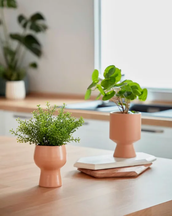 Planta artificial Bailey con maceta de cerámica rosa 21,6 cm en Rosa - Macetas, Uruguay | Kavehome, vista 3