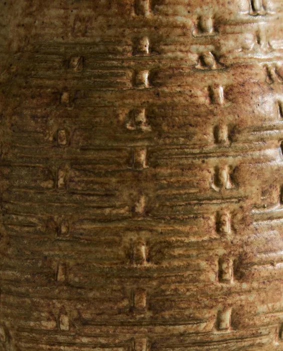 JARRÓN ARCILLA IRREGULAR en Marrón - Jarrones, Uruguay | Zara Home, vista 5