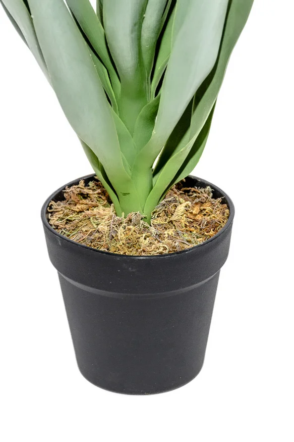 Planta Mandioca 55cm - Color Unico en Multicolor - Muebles para el exterior, Uruguay | Indian, vista 2