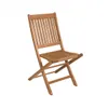Silla Plegable de Eucalipto - Ipanema - Jatobá en Madera natural - Muebles para el exterior, Uruguay | Rústico Hogar, vista 1 de 2