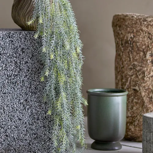 Planta de Sauce - Decoración, Uruguay | Martinika Deco