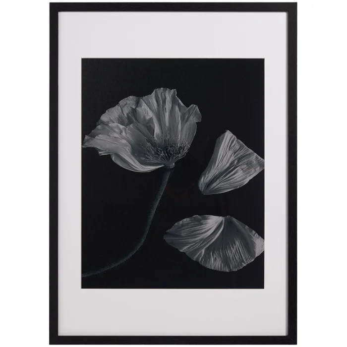 Flora 2 - Decoración, Uruguay | BoConcept