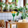 JUEGO DE MESA LEGO® NARCISOS  - Decoración, Uruguay | Viasono, vista 1 de 2