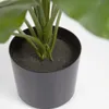 Planta artificial Alocasia Odora con maceta negro 57 cm en Negro, Uruguay | Kavehome, vista 5 de 5
