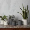 MACETERO DEUCES 12CM - Jarrones, Uruguay | Sentido Jose Ignacio, vista 4 de 4