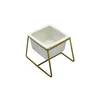 MACETA CERAMICA RECT. C/BASE 8x8x9CM BLANCO/DORADO en Blanco - Macetas, Uruguay | Koz, vista 1 de 4