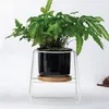 MACETA CERAMICA C/BASE D11x16CM NEGRO en Negro - Macetas, Uruguay | Koz, vista 2 de 4